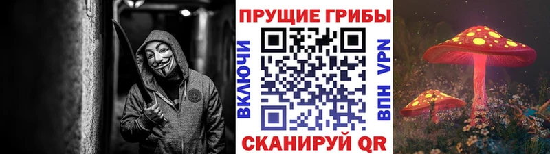 наркота Славянск-на-Кубани Галлюциногенные грибы MAGIC MUSHROOMS